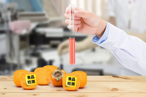 史上最嚴《四川省中小學校食品安全管理辦法》正式實施，守護學生餐飲服務安全
